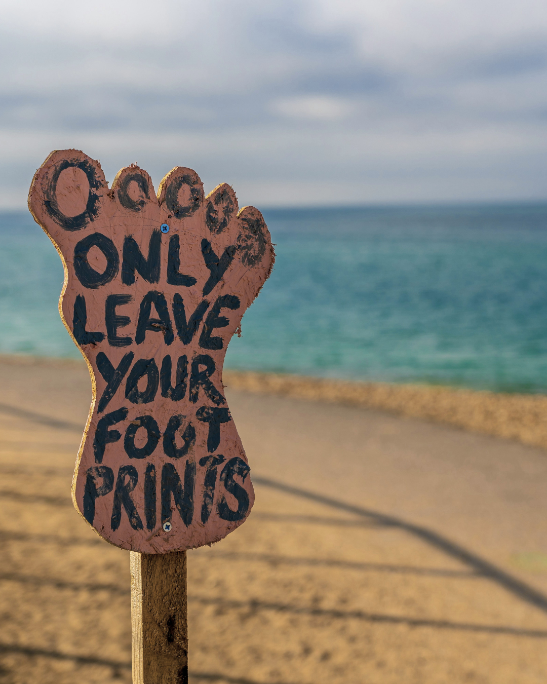 Great British Beach Clean 2026 | Delta Roam